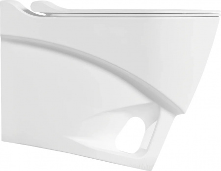 ������ ��������� Bien Organic OGKA052N1VP1W3000 � �������� ����