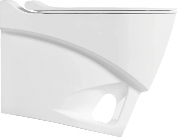 ������ ��������� Bien Organic OGKA052N1VP1W3000 � �������� ����