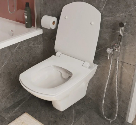 �������� ������ ��������� STWORKI ��������� Clean On DPL EO slim 63428 ������������ + ����������� VitrA 800-2011 � ������ ������� �����