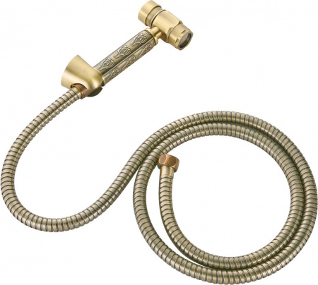   Zorg Antic AZR P007 Bronze