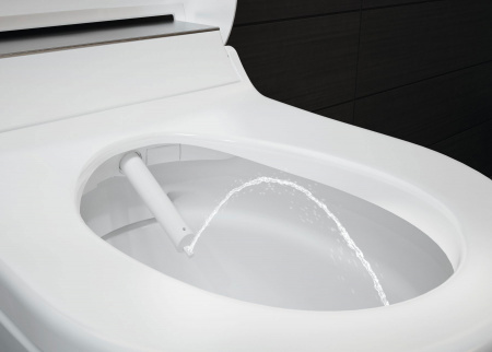 ������ ��������� Geberit AquaClean Tuma Comfort 146.294.11.1 ���������� �����
