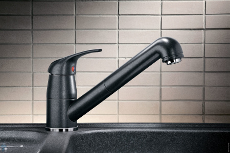 ��������� Blanco Daras-S 524191 ��� �������� �����