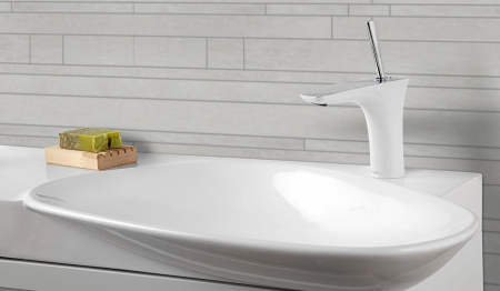 ��������� Hansgrohe PuraVida 15070400 ��� ��������