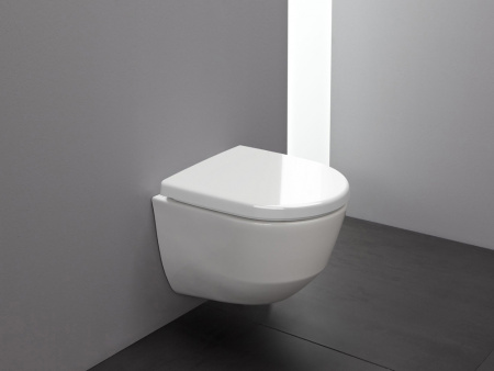 ������ ��������� Laufen Pro Rimless 8.2096.5.000.000.1 �����������