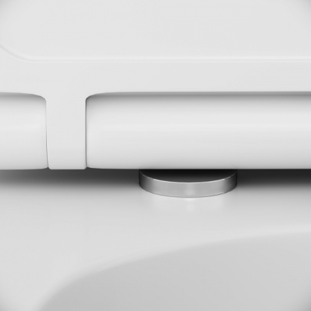 �������� AM.PM Inspire IS49001.501700 � �������� ��������� + ���������� AM.PM �� 30 ���� �������� �� �����������