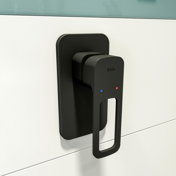  IDDIS Slide SLIBL00i66   ,  