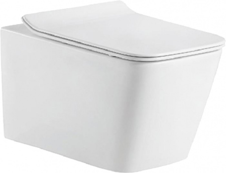 ������ ��������� Bravat Manno C21201UW-RUS ������� � �����������