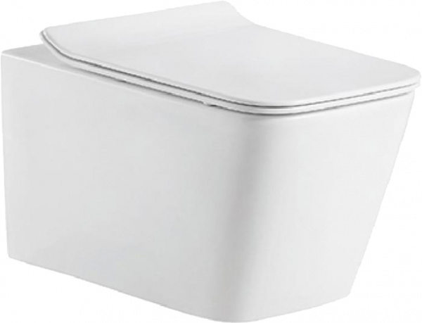 ������ ��������� Bravat Manno C21201UW-RUS ������� � �����������