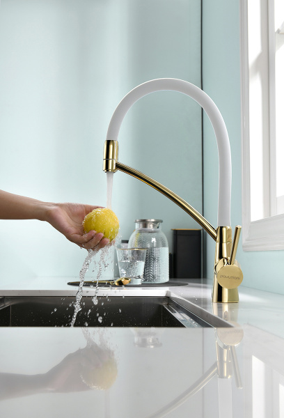 ��������� Paulmark Siegen Si213111-Gw ��� �������� �����, ������