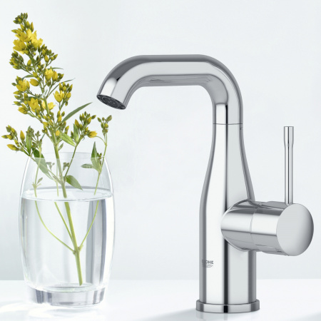 ��������� Grohe Essence New 23462001 ��� ��������