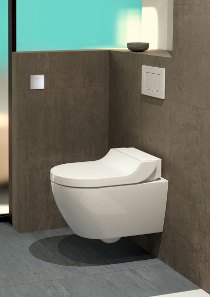 ������ ��������� Geberit AquaClean Tuma Comfort 146.294.11.1 ���������� �����