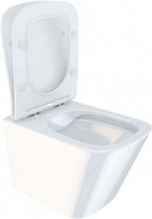 ������ ��������� IDDIS Bild BILRDSEi25 ������� � �����������