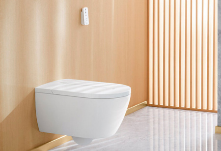 ������ ��������� Villeroy & Boch Viclean V0E100R1 ���������� �����, � �������� ����