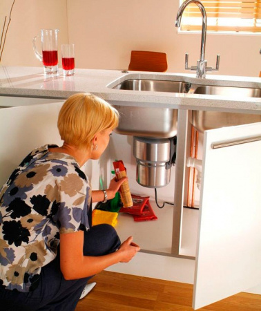   InSinkErator Evolution 200