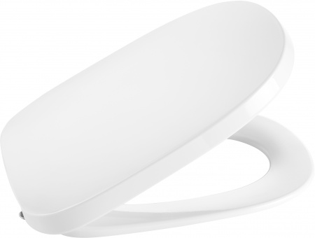 �������� ������ ��������� Roca Beyond 3460B7000 � �������-�������� + ������� ����������� ��� �������� Roca DUPLO WC 890090020