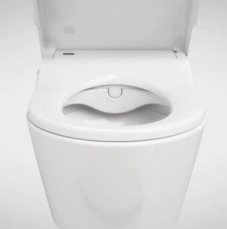 ��������  ������� ����������� ��� �������� Roca DUPLO WC 890090020 + ������ ��������� Roca Inspira in-wash + ������ ����� Roca PL1 Dual ����