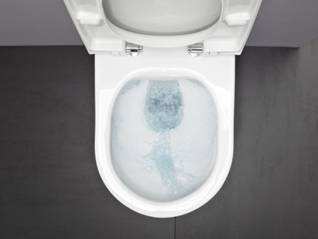 ��������  ������� ����������� ��� �������� Grohe Rapid SL 38775001 4 � 1 � ������� ����� + ������-������� Laufen Pro 8.9695.1.300.000.1 � �����������,