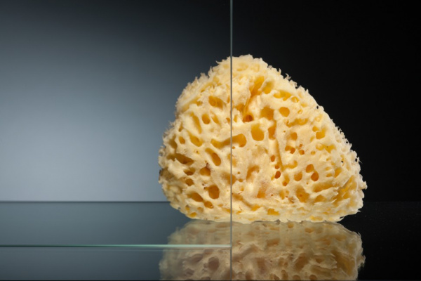 ������� ����������� Vegas Glass EAF 86 01 01 ������� �����, ������ ����������