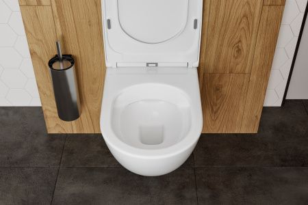 �������� ������ ��������� STWORKI Rotenburg WH52 ������������ + ������� ����������� ��� �������� Ideal Standard ProSys Eco Frame 2.0 � ������� �����