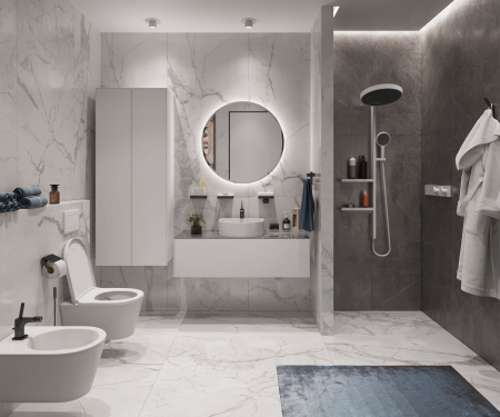 ��������� Hansgrohe RainSelect 15380700 ��� ����, ����� �������