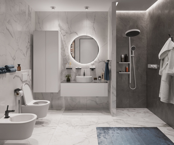 ��������� Hansgrohe RainSelect 15380700 ��� ����, ����� �������