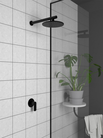  Paini Nove 09PZ690   ,  