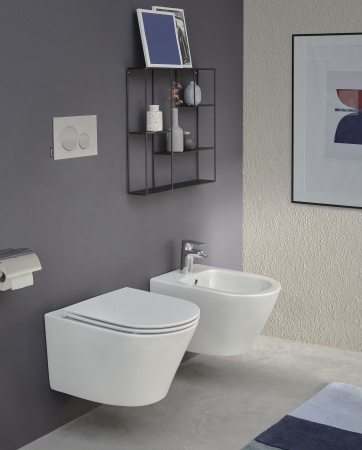 ������ ��������� Jacob Delafon Rodin+ EDY102-00