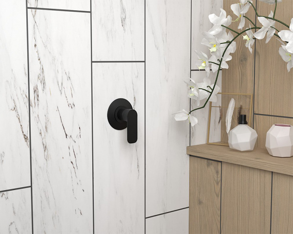  Paini Nove 09PZ690   ,  