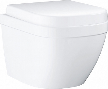 ������ ��������� Grohe Euro Ceramic 3920600H ����������