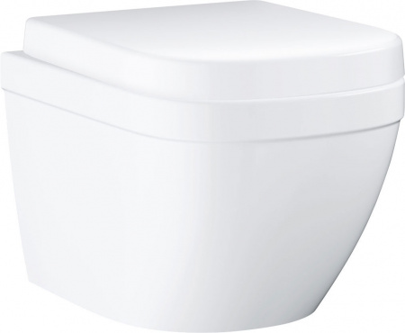 ������ ��������� Grohe Euro Ceramic 3920600H ����������