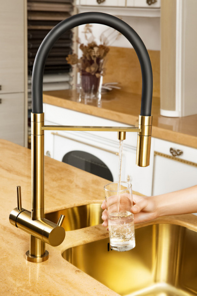 ��������� Omoikiri Kanto PVD-LG ��� �������� �����