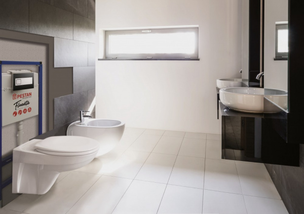 ��������  ������ ��������� Pestan Fluenta Basic 40006460 + ������� ����������� ��� �������� Pestan Fluenta 40006356 + ������ ����� Pestan Fluenta Diam