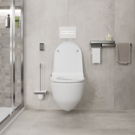 ������ ��������� Laufen Riva 8.2069.1.400.000.1 � ��������� LCC