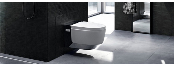 ������ ��������� Geberit AquaClean Mera Comfort 146.214.21.1 � �������� �������� �������, ��������� ����