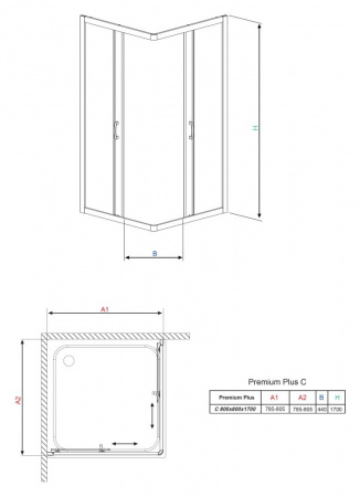 ������� ������ Radaway Premium Plus C 80x170 ���������� ������