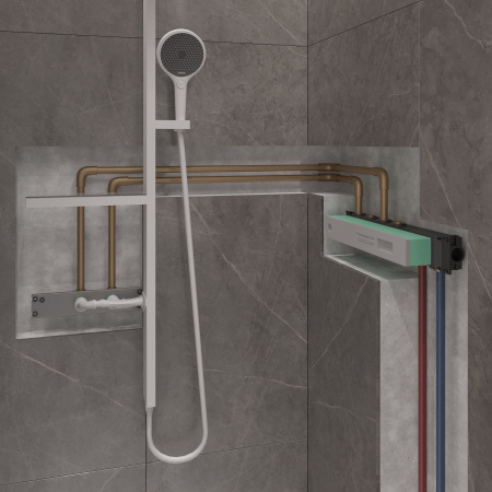 ��������� Hansgrohe RainSelect 15380700 ��� ����, ����� �������