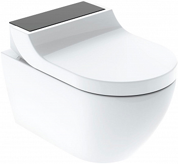 ������ ��������� Geberit AquaClean Tuma Comfort 146.294.SJ.1 ������� ������ ������