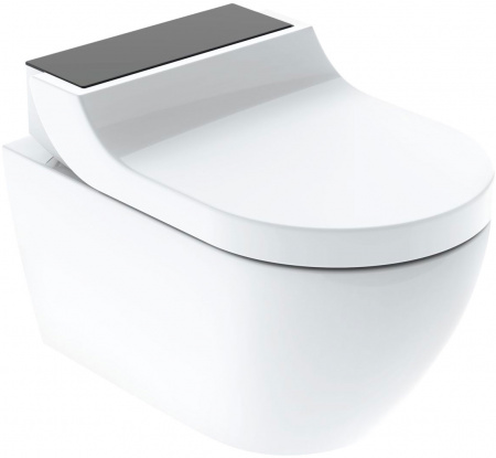 ������ ��������� Geberit AquaClean Tuma Comfort 146.294.SJ.1 ������� ������ ������