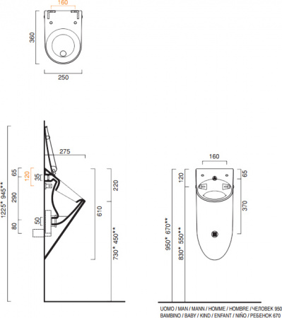 ������� Catalano 36