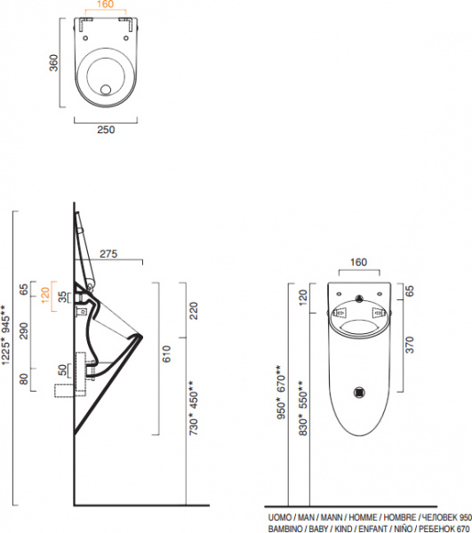 ������� Catalano 36
