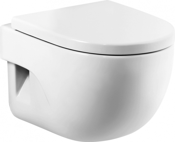 ��������  ������� ����������� ��� �������� Geberit Duofix Delta 458.124.21.1 3 � 1 � ������� ����� + ������-������� Roca Meridian 8012AC004 � ��������