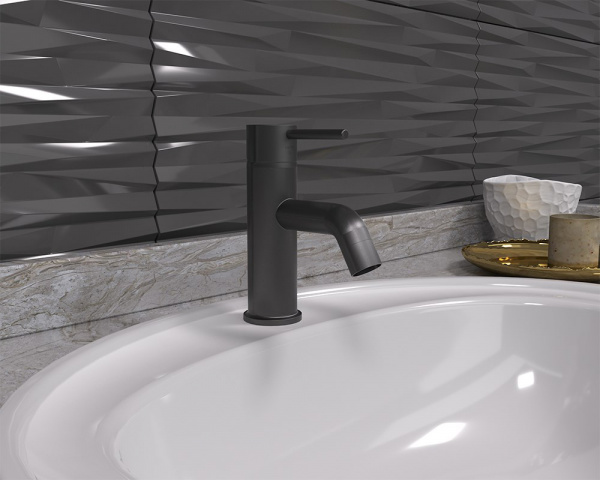 ��������� Paini Cox 78PZ211 ��� ��������