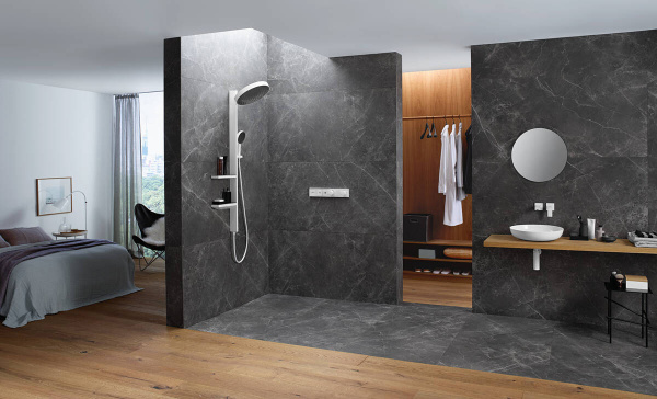 ��������� Hansgrohe RainSelect 15380700 ��� ����, ����� �������