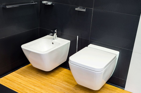 ���� ��������� Villeroy & Boch Finion 446500R1 alpin, Ceramicplus