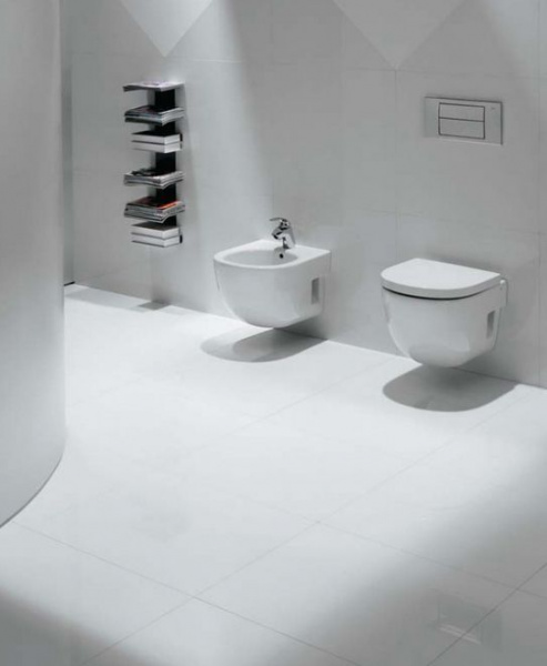 ���� ��������� Roca Meridian 357246000 �����������