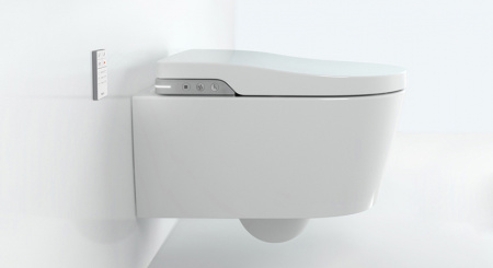 ������ ��������� Roca Inspira in-wash