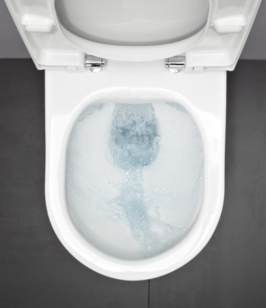 ������ ��������� Laufen Pro Rimless 8.2096.5.000.000.1 �����������