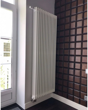 �������� �������� ������������ Arbonia 3180/10 N69 ��� 3-� ���������, ������ ��������, ���������� ������� RAL 9016