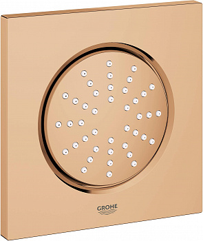 ������� �������� Grohe Rainshower F-Series 5 27251DA0 ������ �����