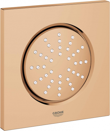 ������� �������� Grohe Rainshower F-Series 5 27251DA0 ������ �����